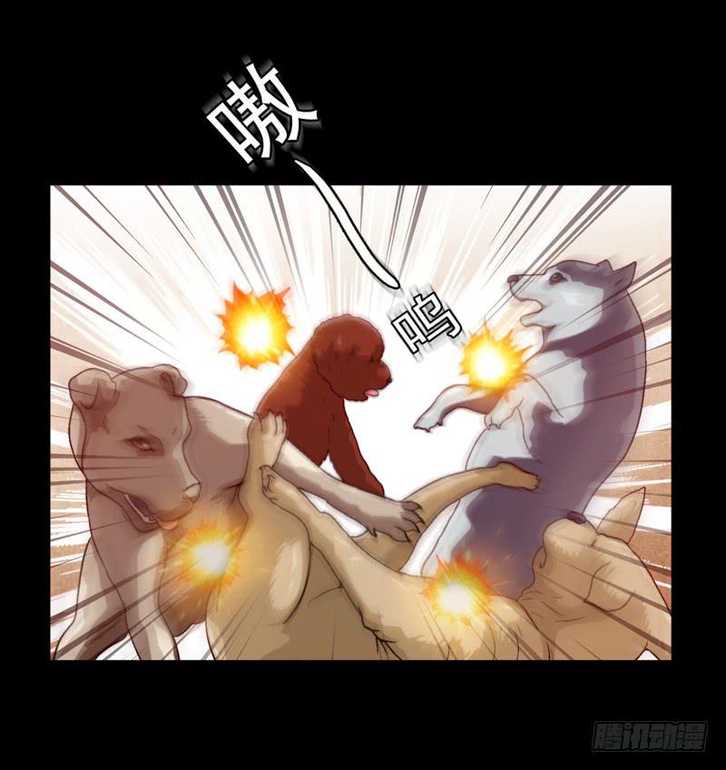 《做梦大师》梦境重叠 第2页