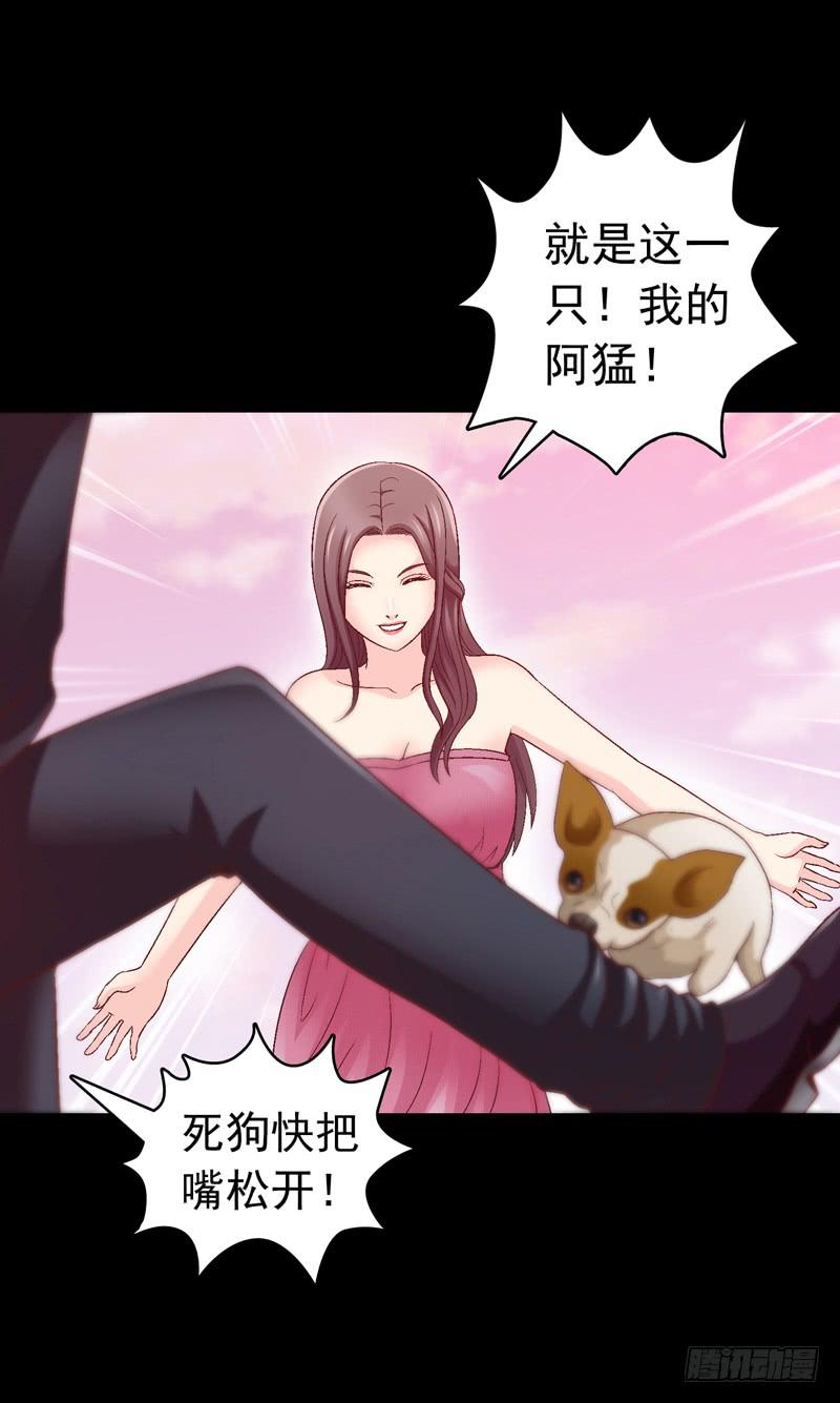 《做梦大师》我要我的小狗狗 第19页