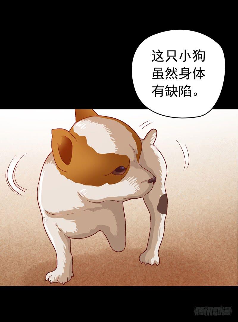 《做梦大师》我要我的小狗狗 第23页