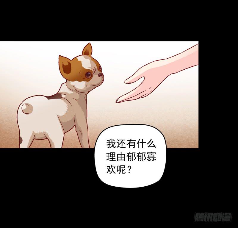 《做梦大师》我要我的小狗狗 第25页