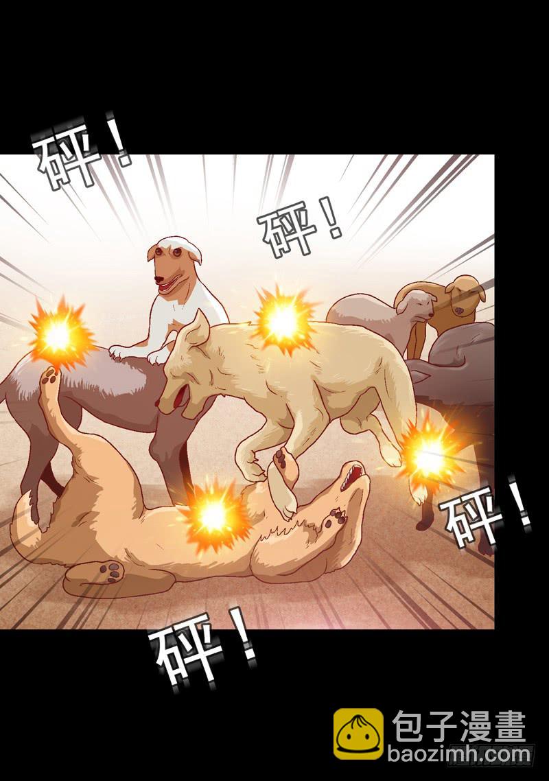 《做梦大师》我要我的小狗狗 第38页