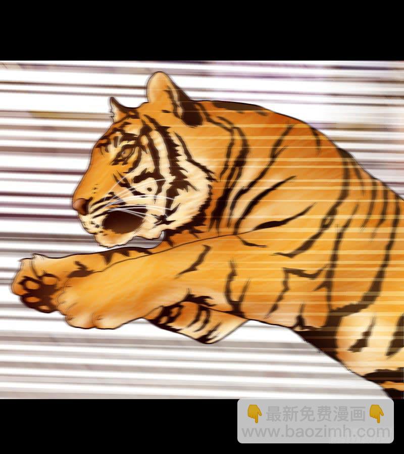 《做梦大师》变化 第13页