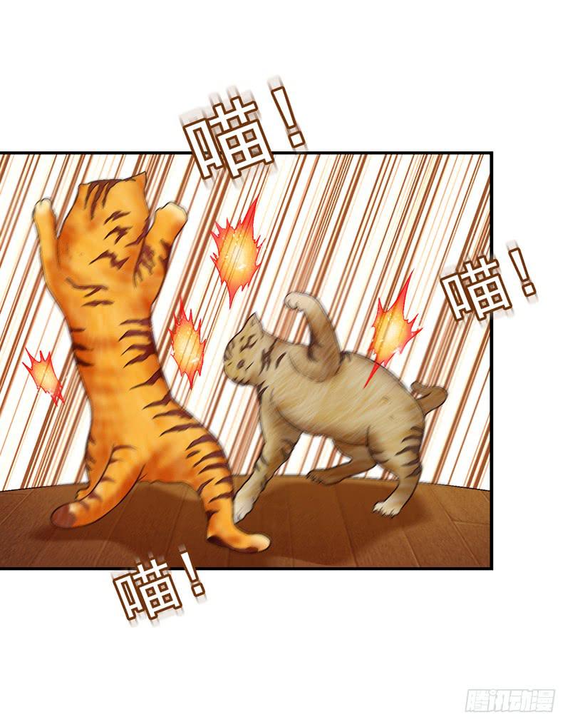 《做梦大师》红猫爪咖啡 第22页