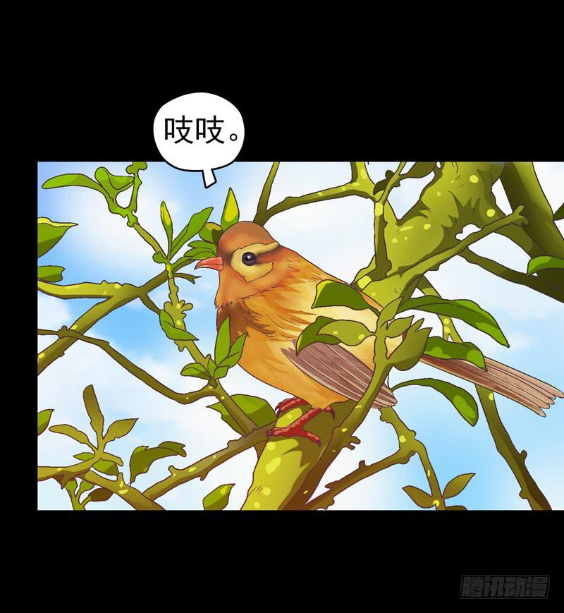 《做梦大师》亲自出马 第15页