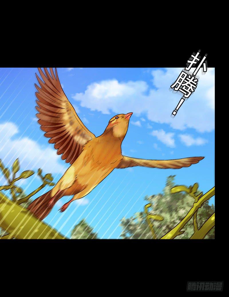 《做梦大师》亲自出马 第16页
