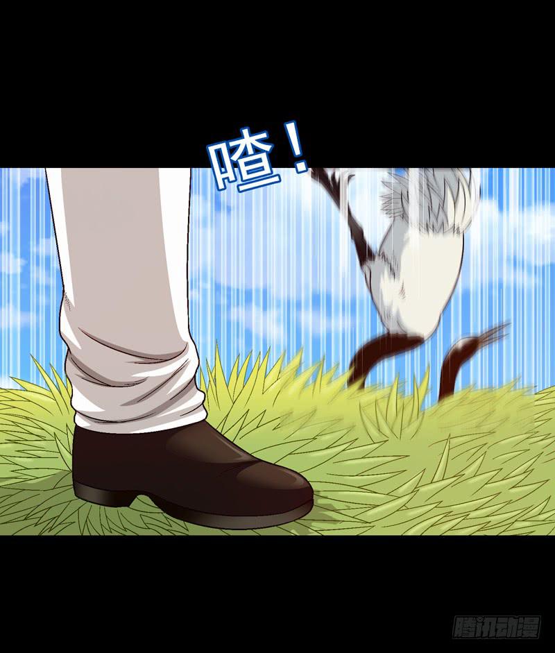 《做梦大师》亲自出马 第29页