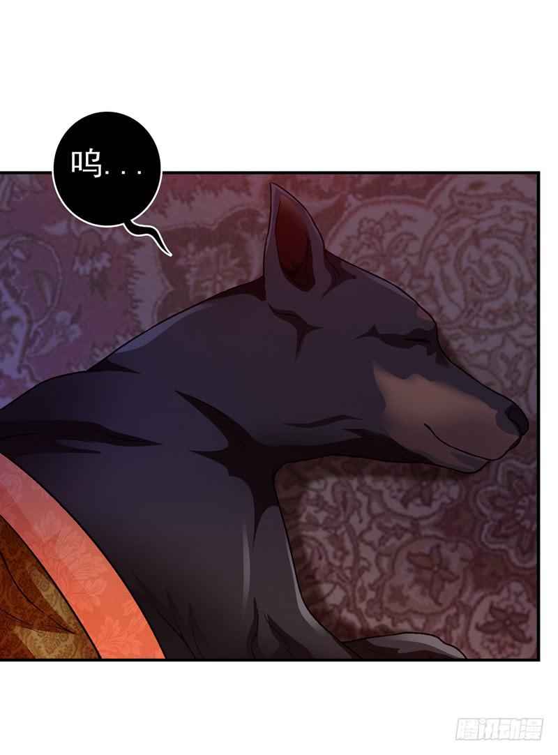 《做梦大师》坐下聊聊 第2页