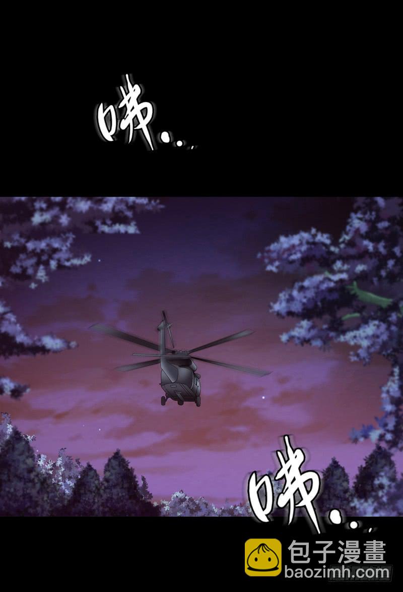 《做梦大师》解救危机 第25页