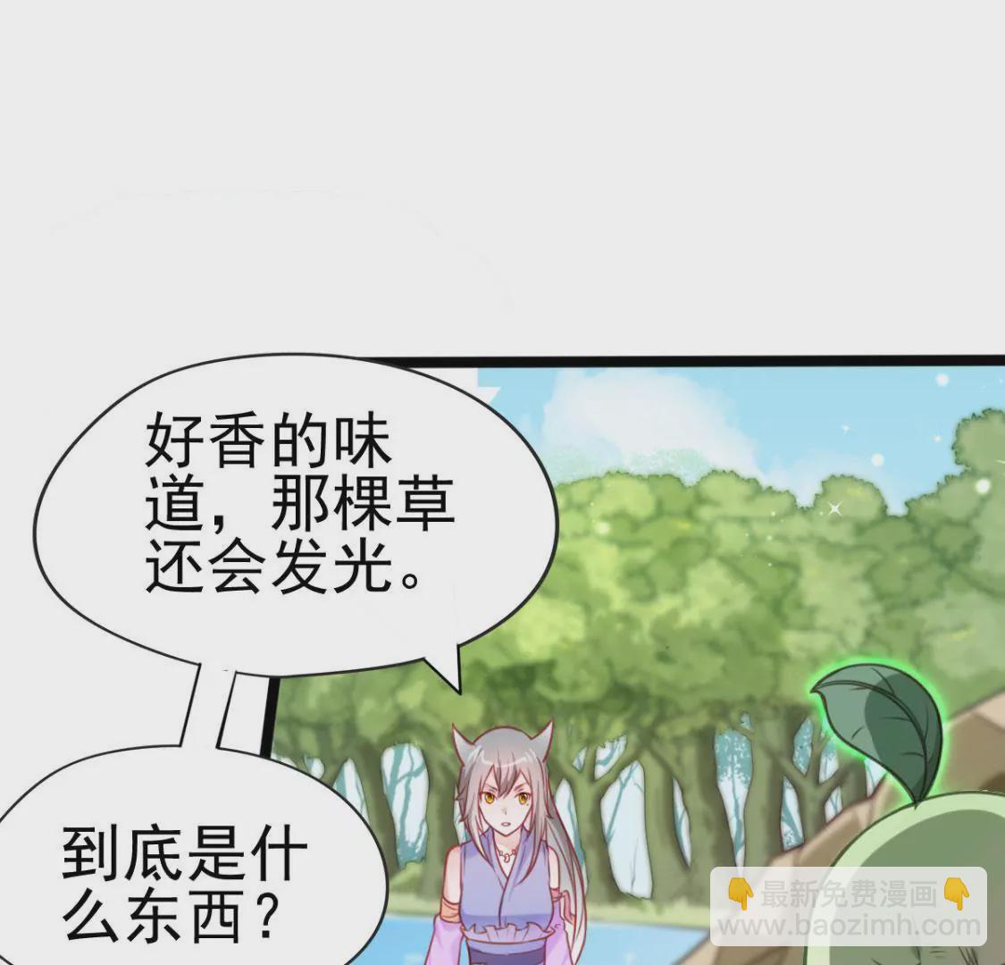 《在玄幻世界变成了一棵草？》第001话 我变成了草？ 第24页