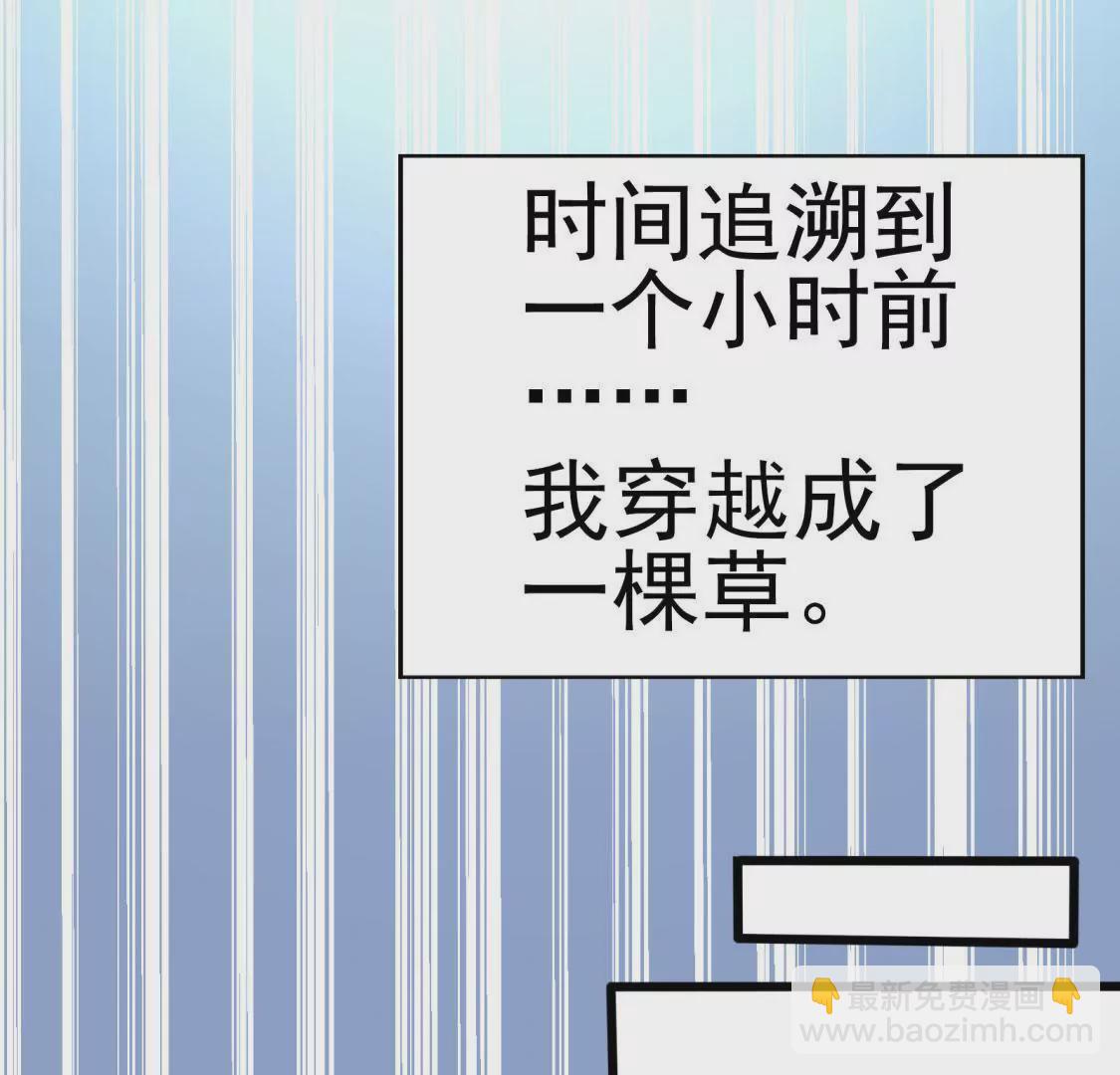 《在玄幻世界变成了一棵草？》第001话 我变成了草？ 第6页