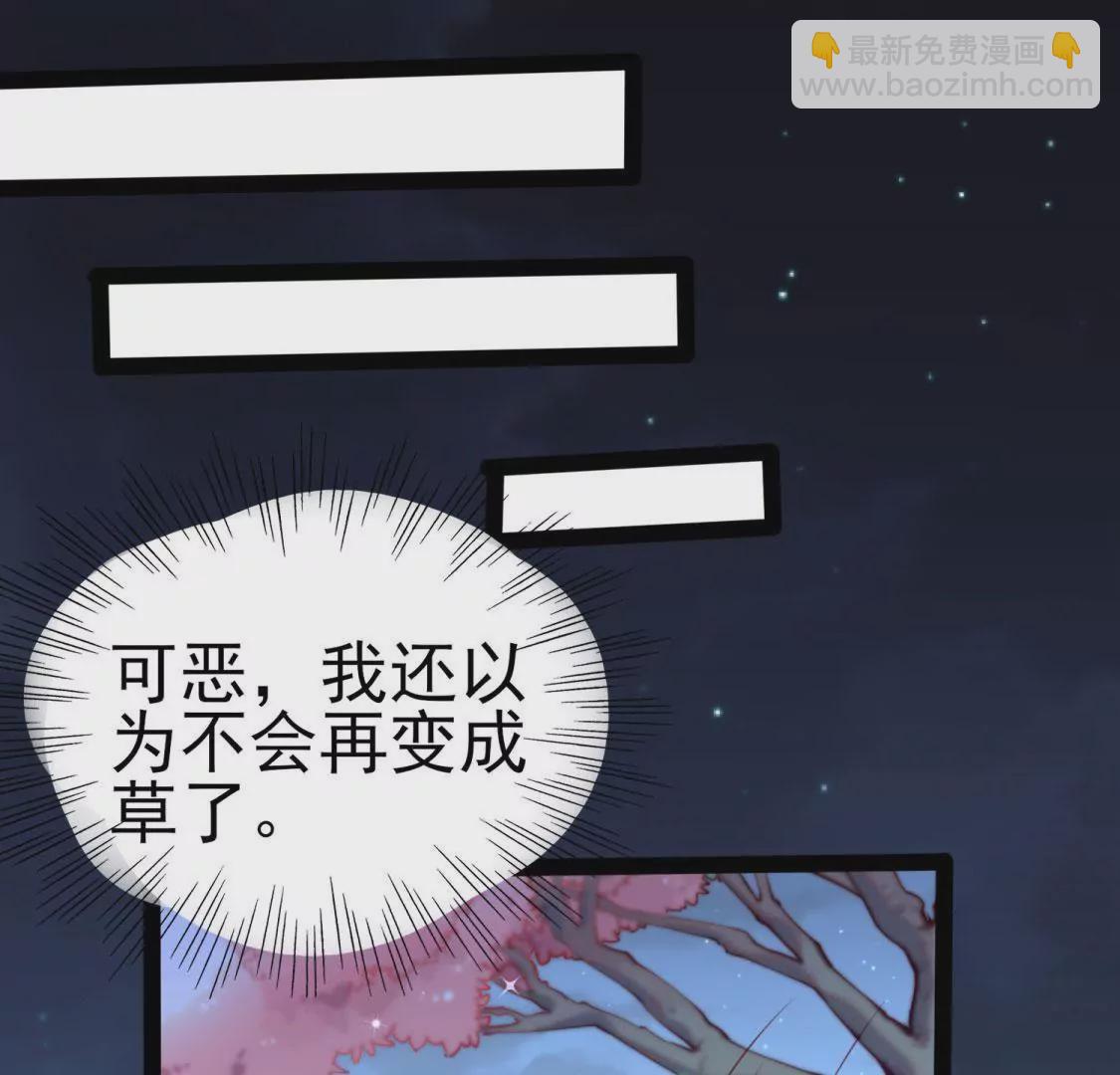 《在玄幻世界变成了一棵草？》第003话 你是个草精 第13页
