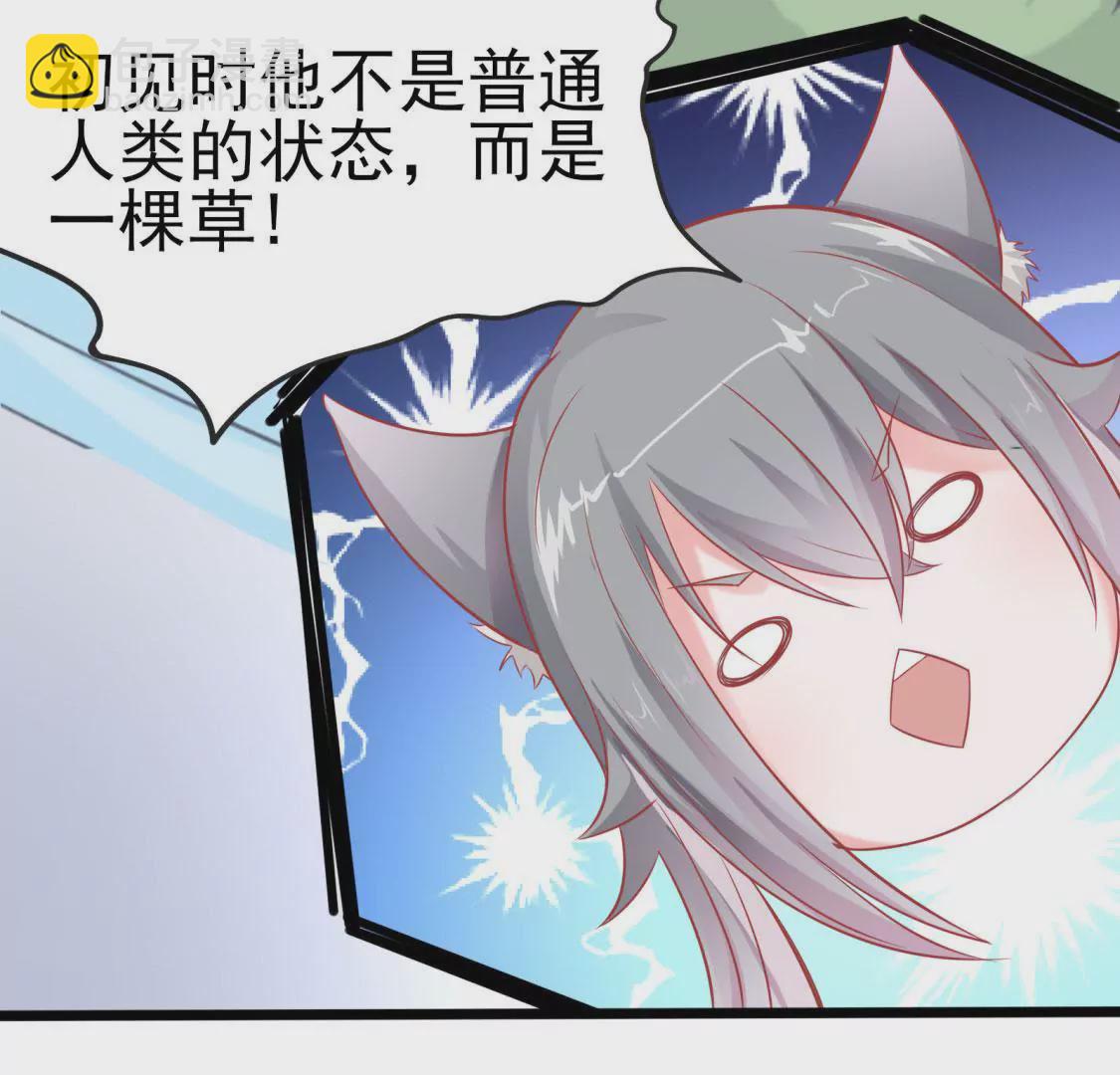 《在玄幻世界变成了一棵草？》第003话 你是个草精 第31页