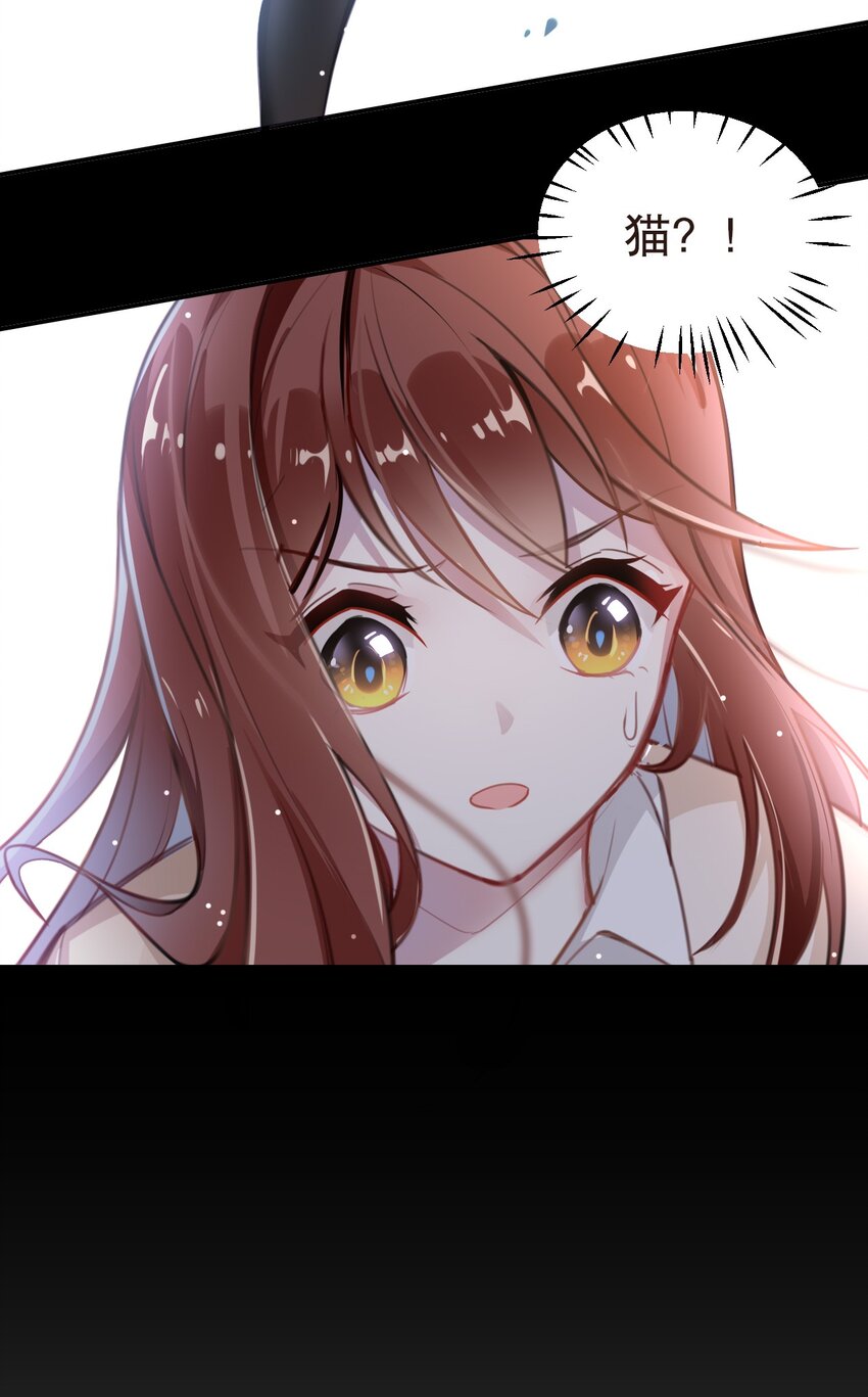 《你是我的猫薄荷》002 宠物？！ 第2页
