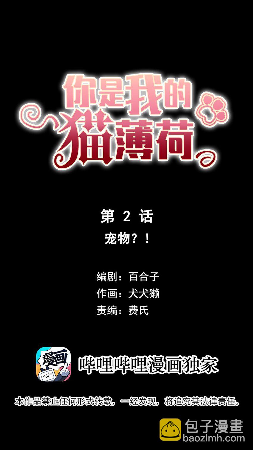 《你是我的猫薄荷》002 宠物？！ 第3页