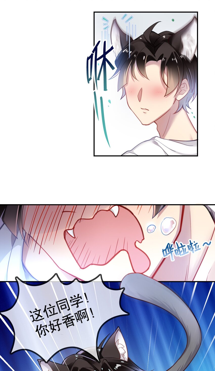 《你是我的猫薄荷》001 我是普通人……才怪！ 第19页