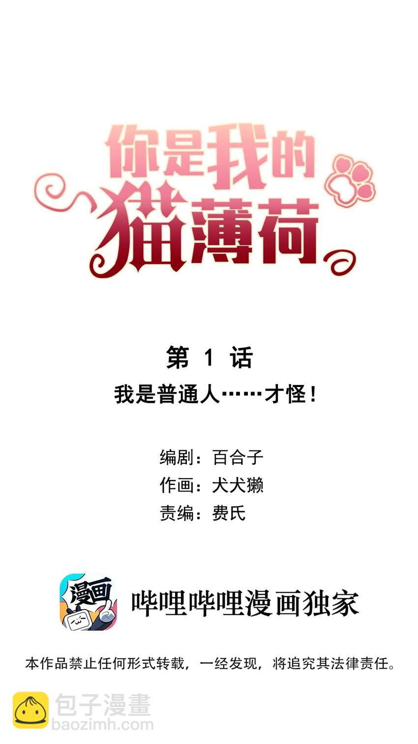 《你是我的猫薄荷》001 我是普通人……才怪！ 第5页