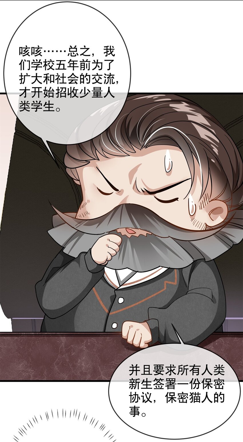 《你是我的猫薄荷》003 煺学警告！ 第28页