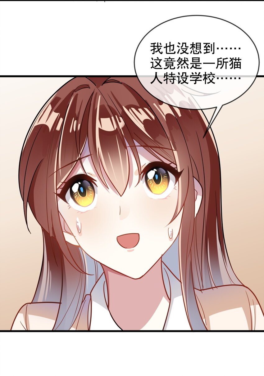 《你是我的猫薄荷》003 煺学警告！ 第31页