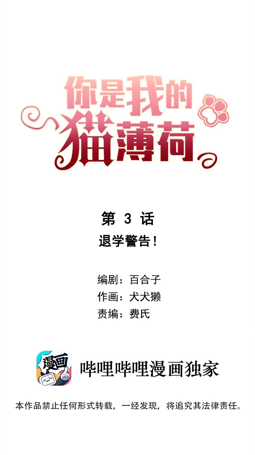 《你是我的猫薄荷》003 煺学警告！ 第4页