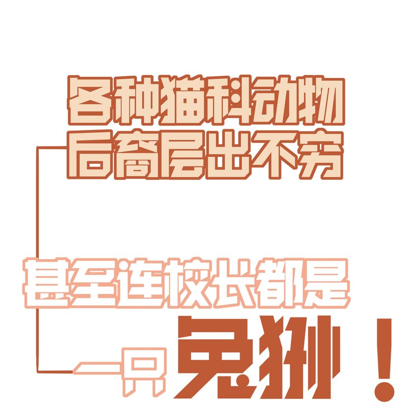 《你是我的猫薄荷》预告 预告 第15页