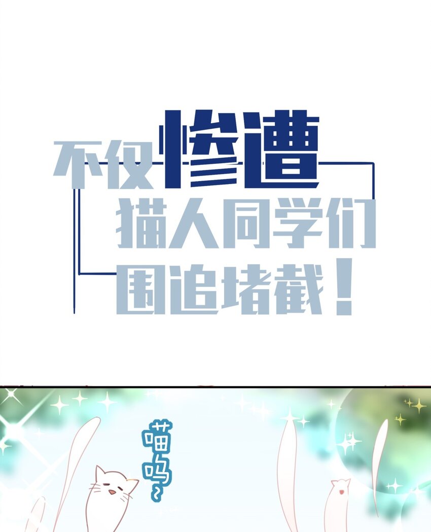 《你是我的猫薄荷》预告 预告 第4页