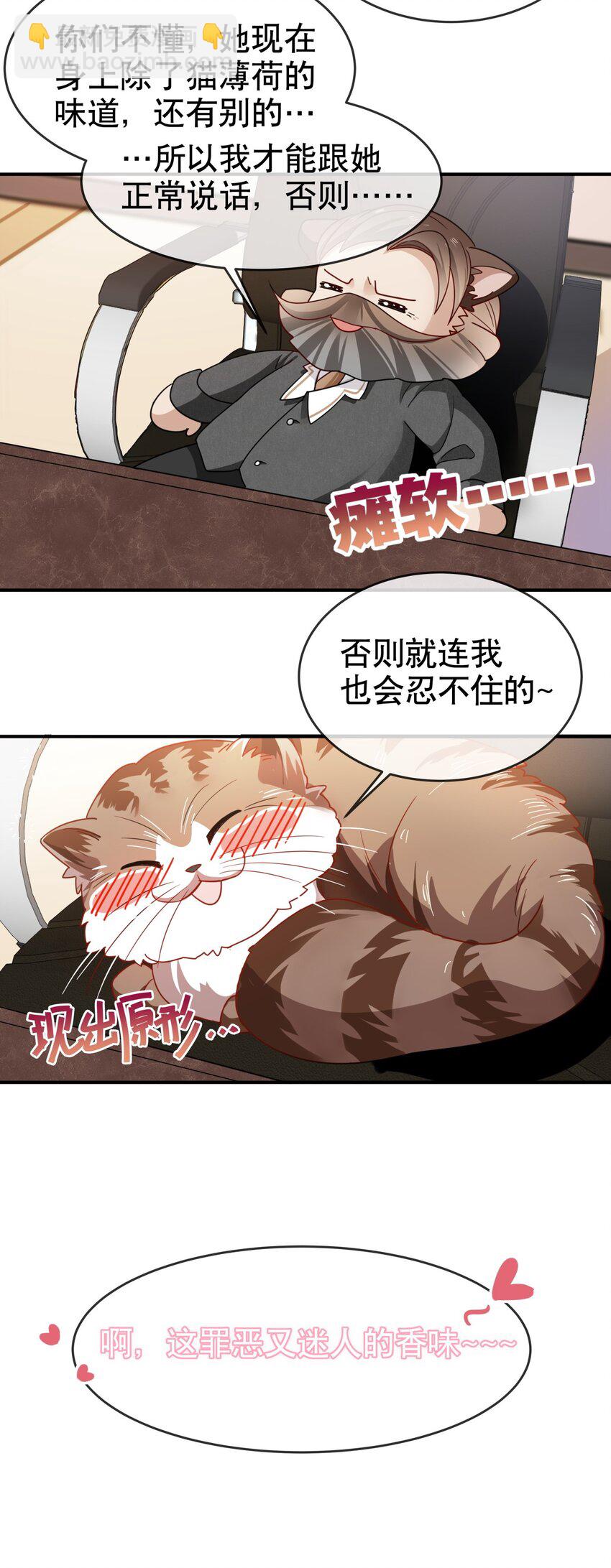 《你是我的猫薄荷》004 大佬的女人 第13页