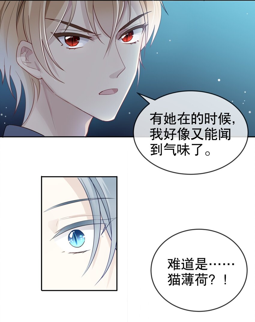 《你是我的猫薄荷》004 大佬的女人 第17页