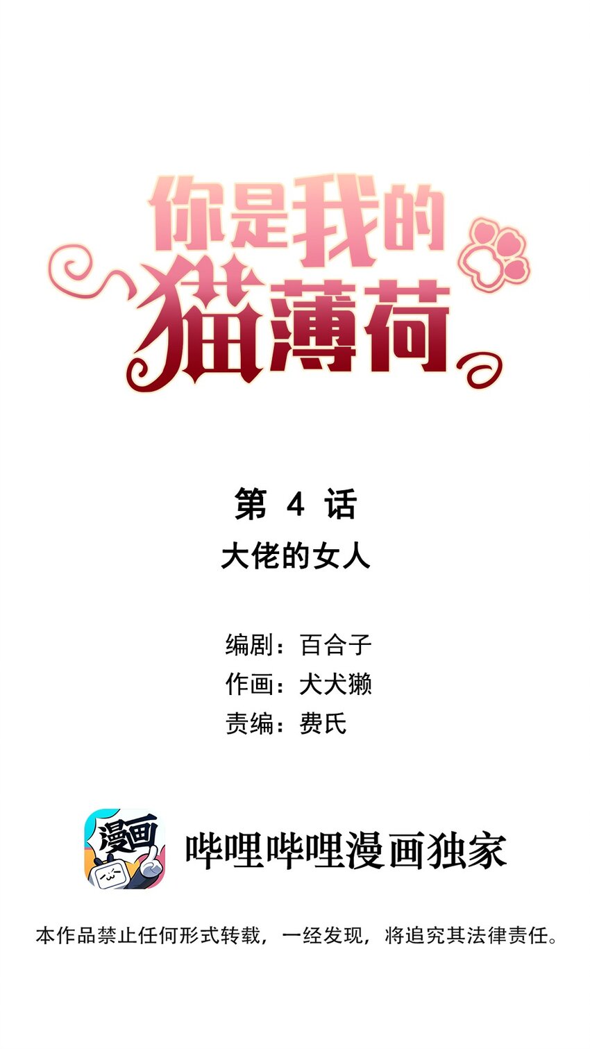 《你是我的猫薄荷》004 大佬的女人 第2页