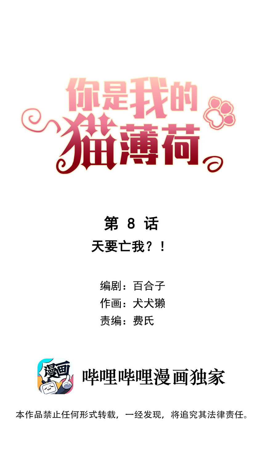 《你是我的猫薄荷》008 天要亡我？！ 第1页