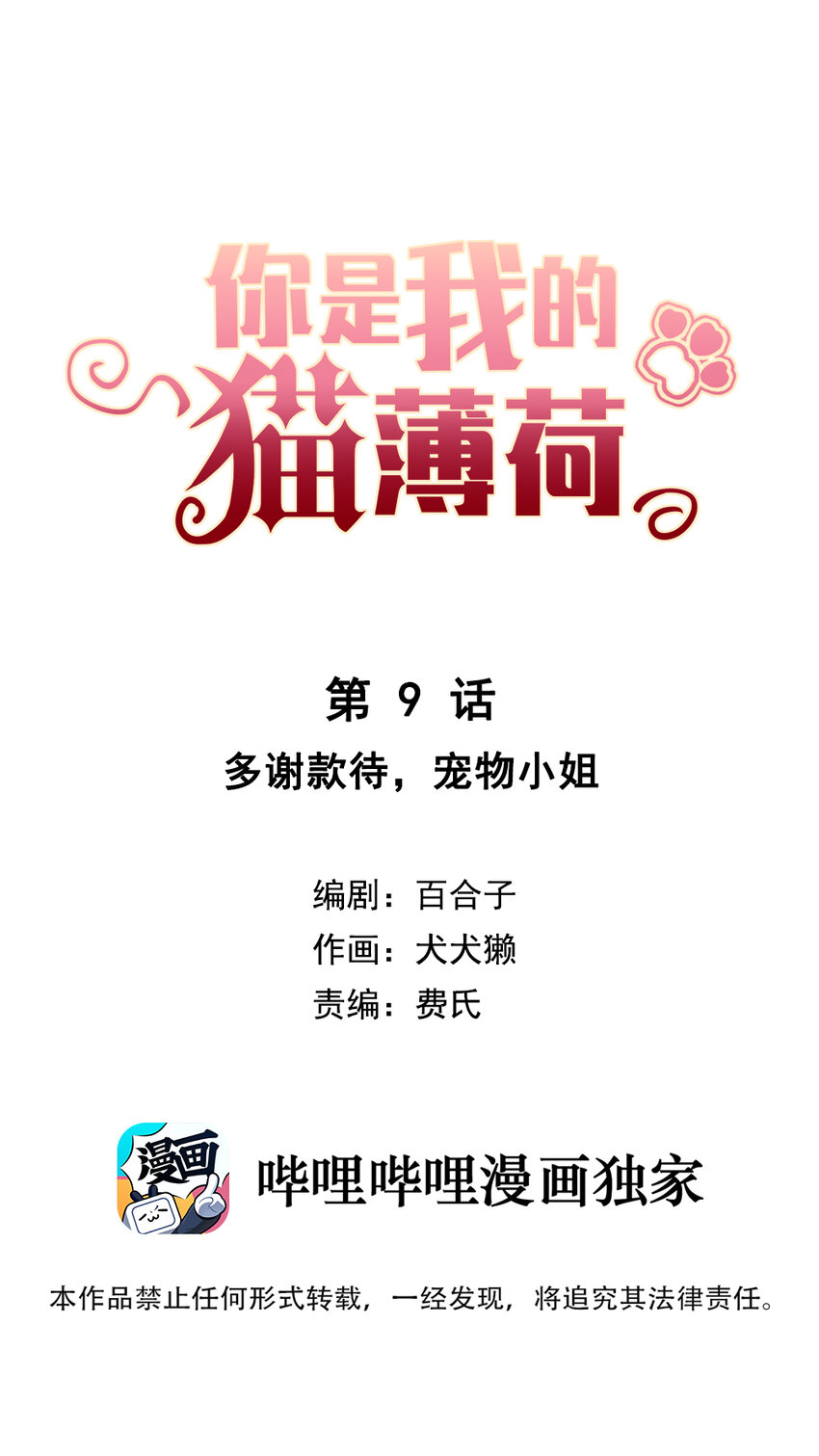 《你是我的猫薄荷》009 多谢款待，宠物小姐 第1页