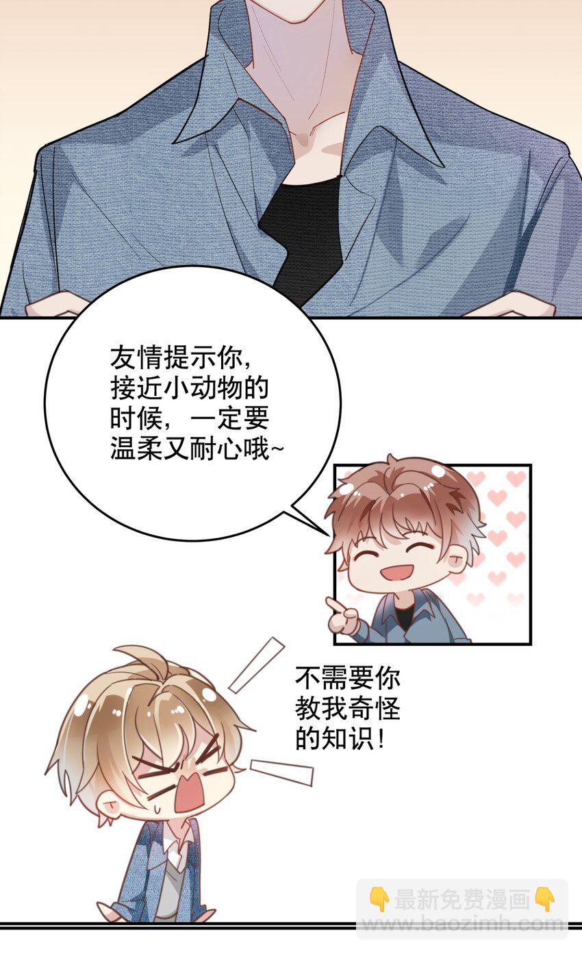 《你是我的猫薄荷》011 伍月的计划 第12页