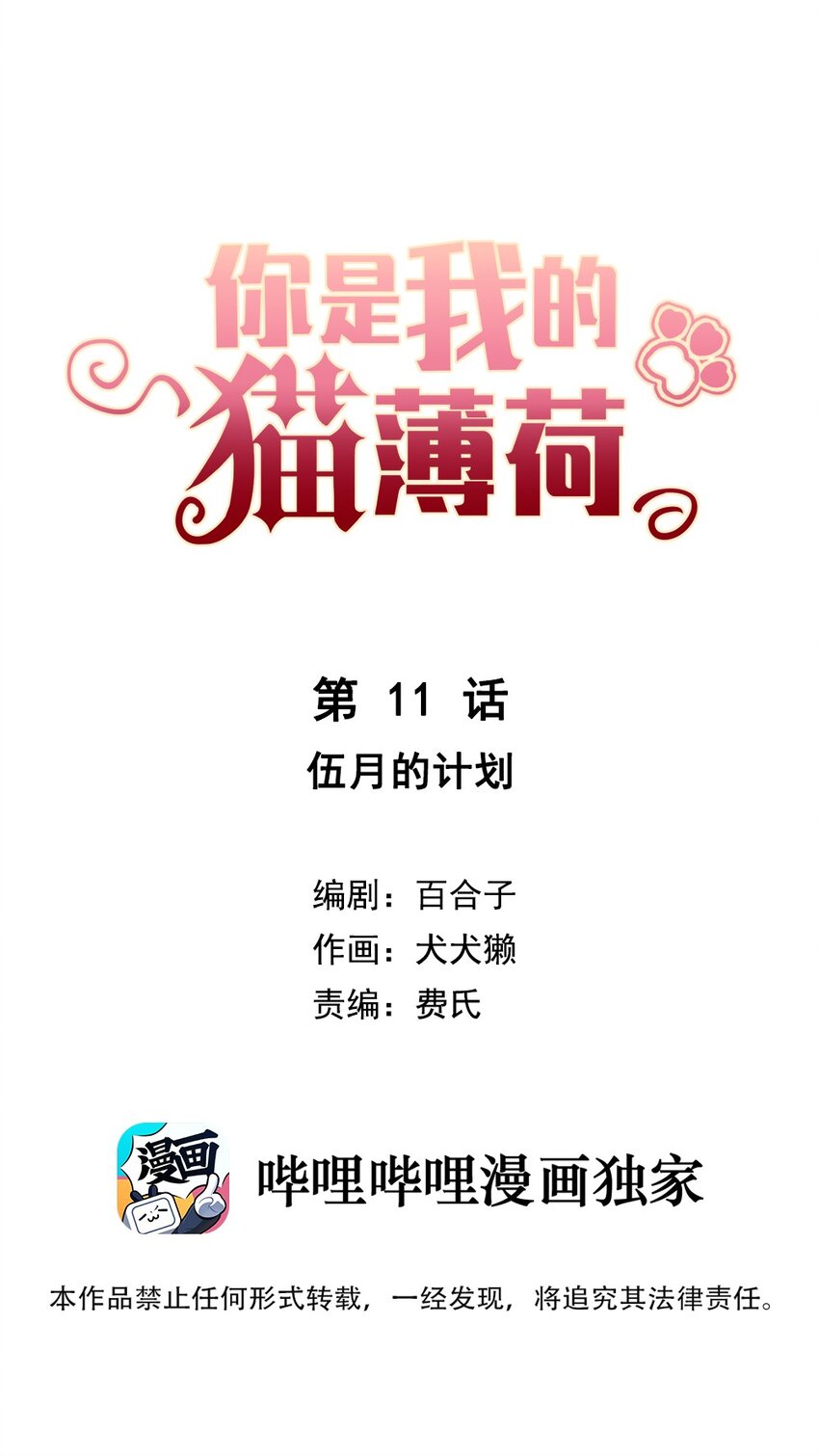 《你是我的猫薄荷》011 伍月的计划 第2页