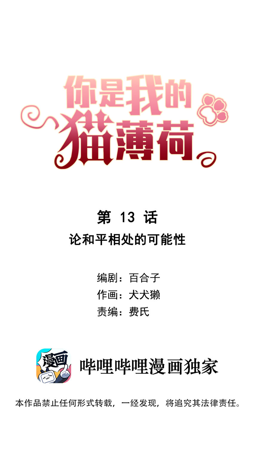 《你是我的猫薄荷》013 论和平相处的可能性 第1页