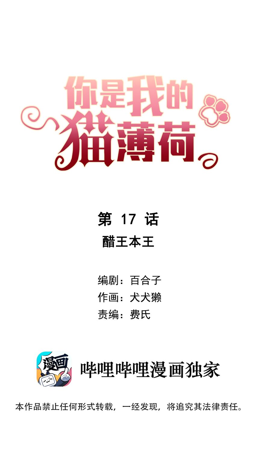 《你是我的猫薄荷》017 醋王本王 第1页