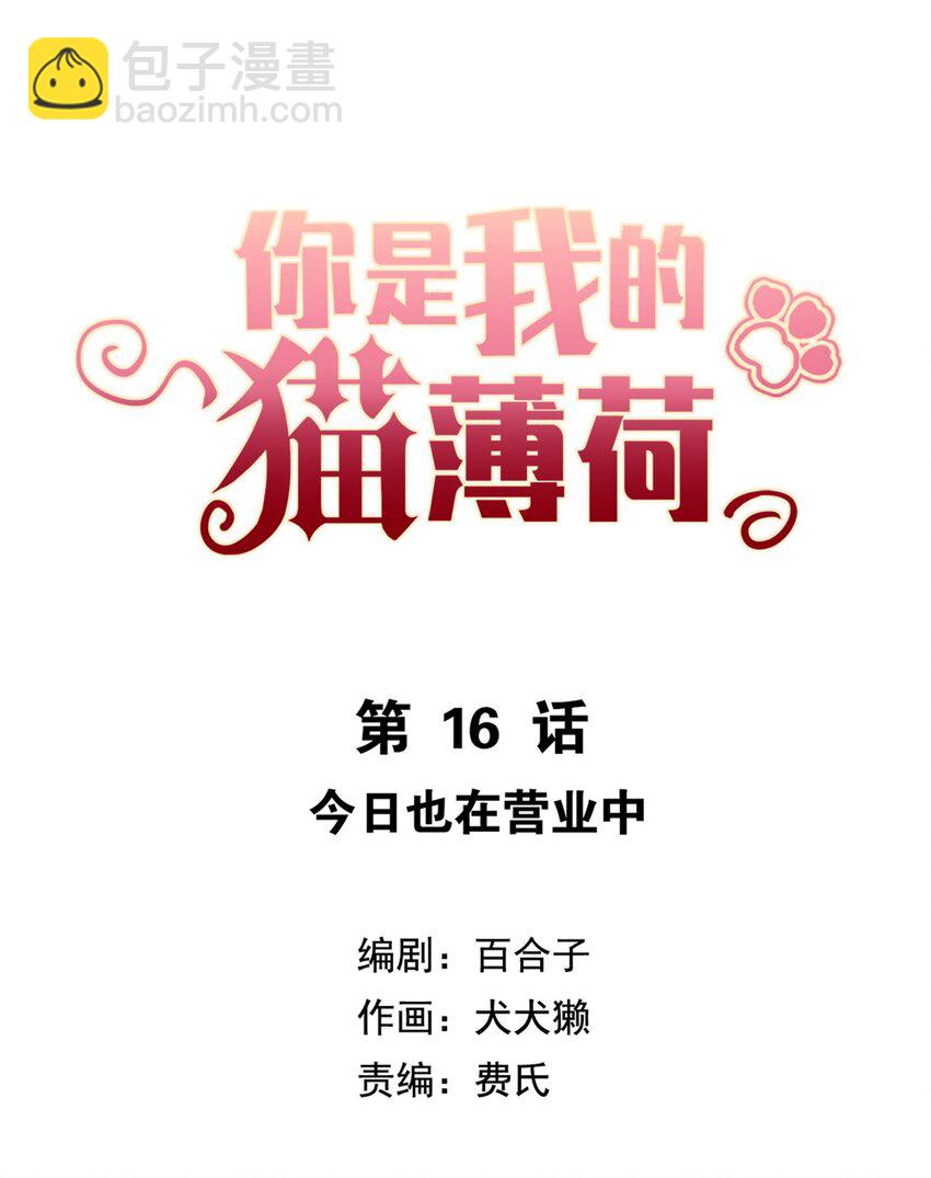 《你是我的猫薄荷》016 今日也在营业中 第2页