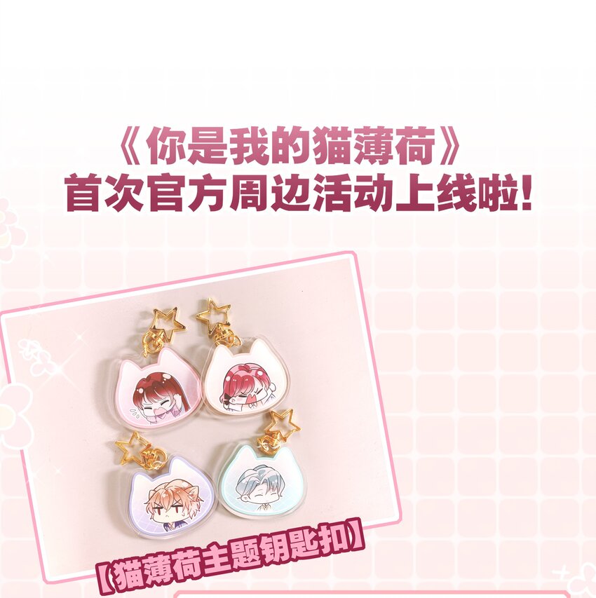 《你是我的猫薄荷》019 她夸我了！ 第41页
