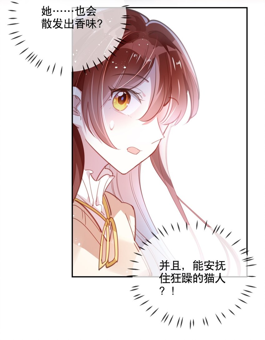 《你是我的猫薄荷》020 女孩子们的暗中交易 第6页