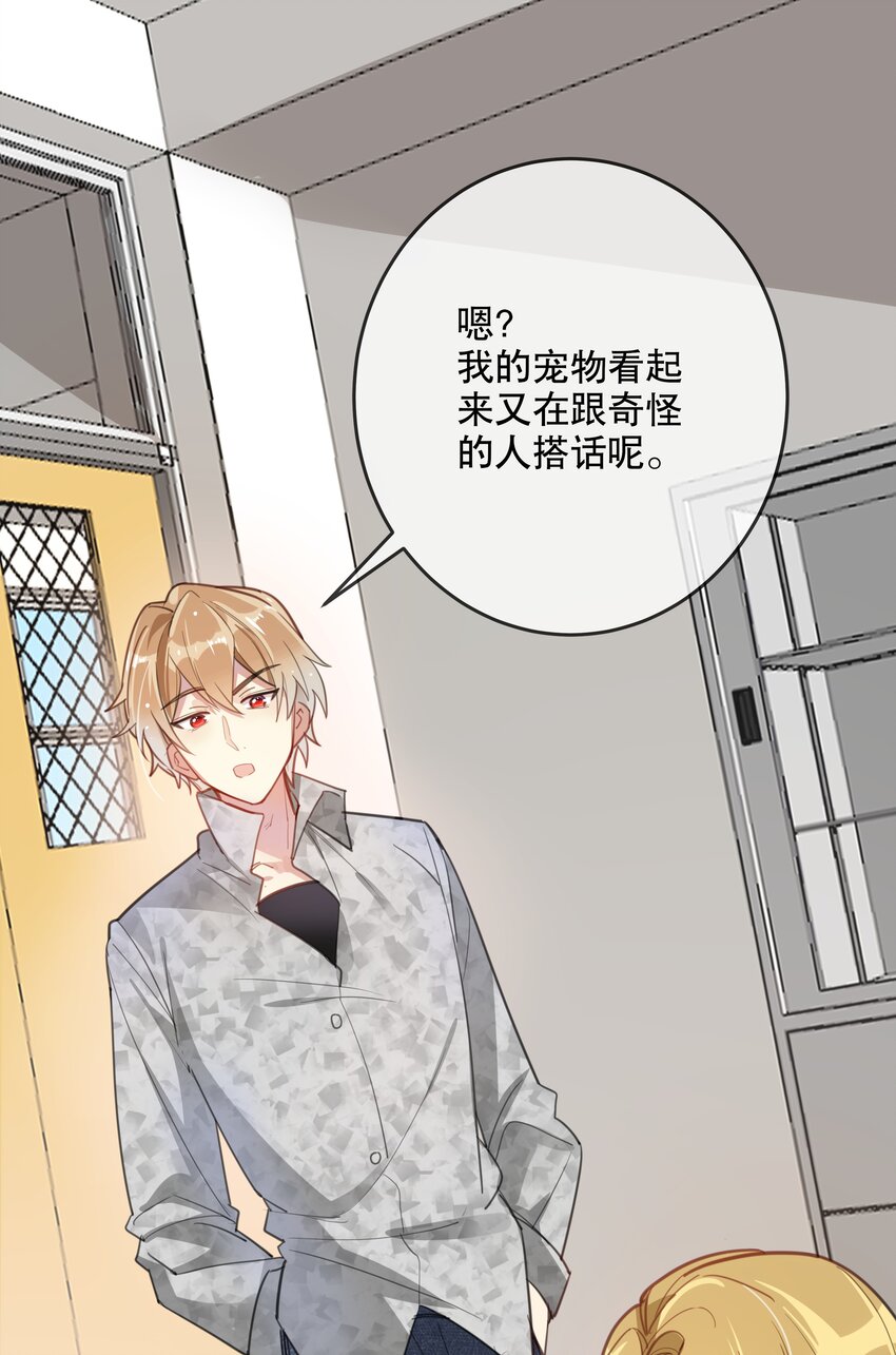 《你是我的猫薄荷》024 女鹅一定要幸福呀 第17页