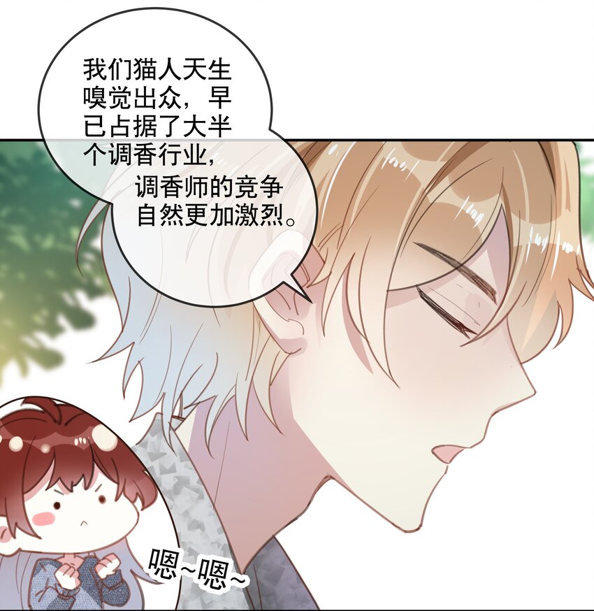 《你是我的猫薄荷》024 女鹅一定要幸福呀 第29页
