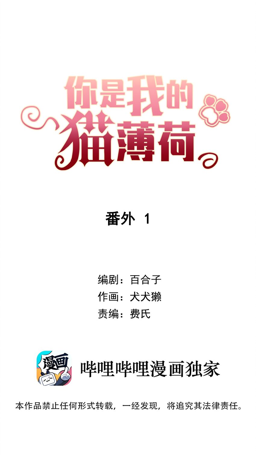 《你是我的猫薄荷》番外1 番外1 第1页