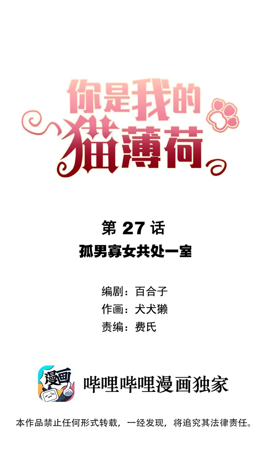 《你是我的猫薄荷》027 孤男寡女共处一室 第1页
