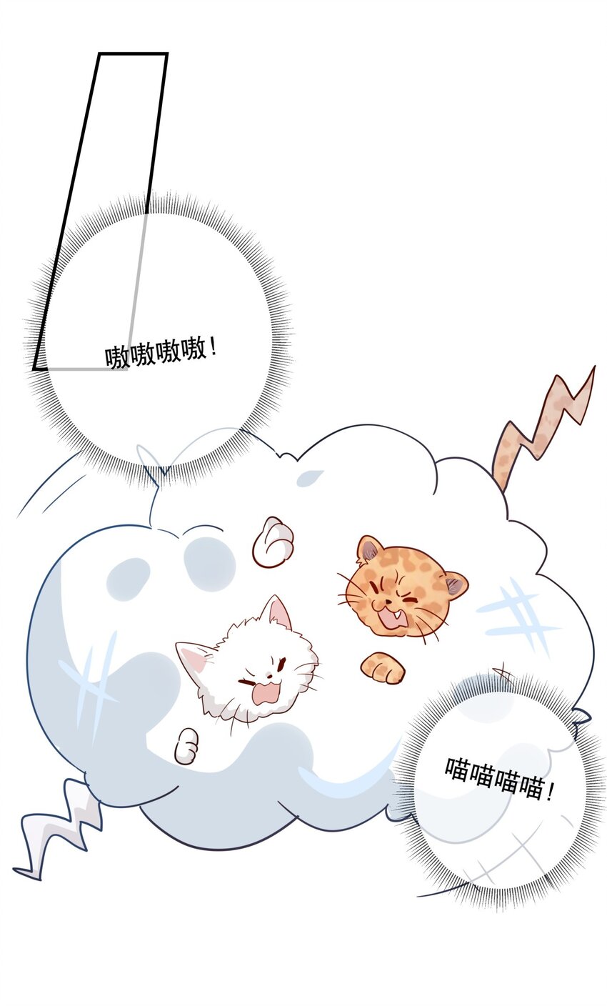 《你是我的猫薄荷》030 不如我们亲自来…… 第13页