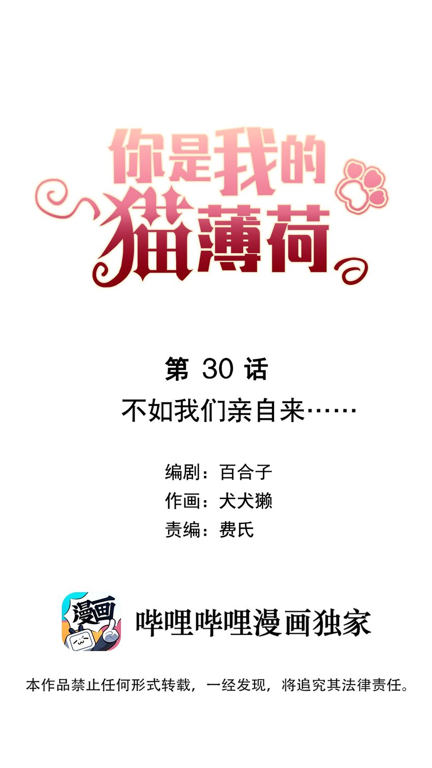 《你是我的猫薄荷》030 不如我们亲自来…… 第3页