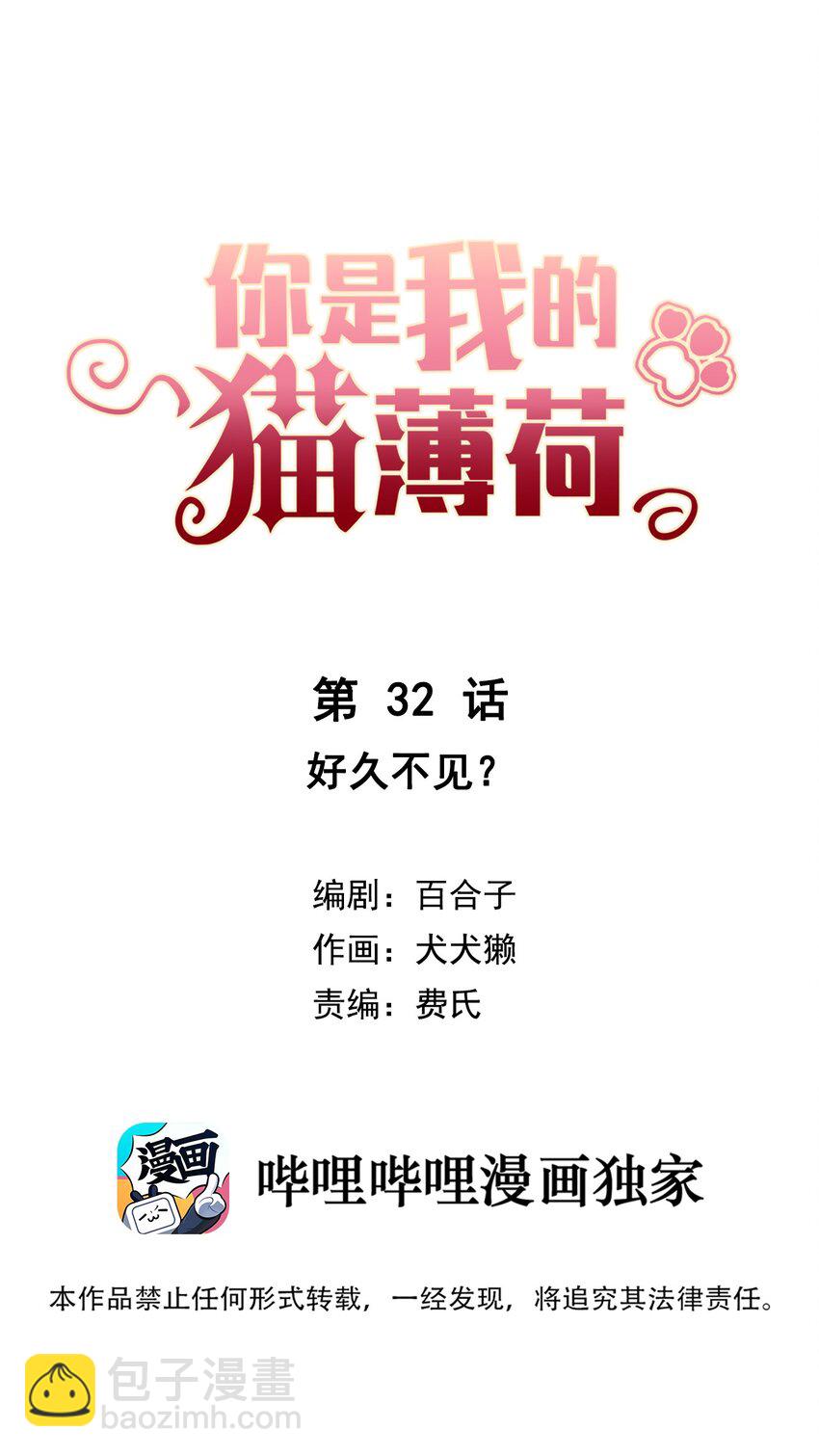《你是我的猫薄荷》032 好久不见？ 第3页