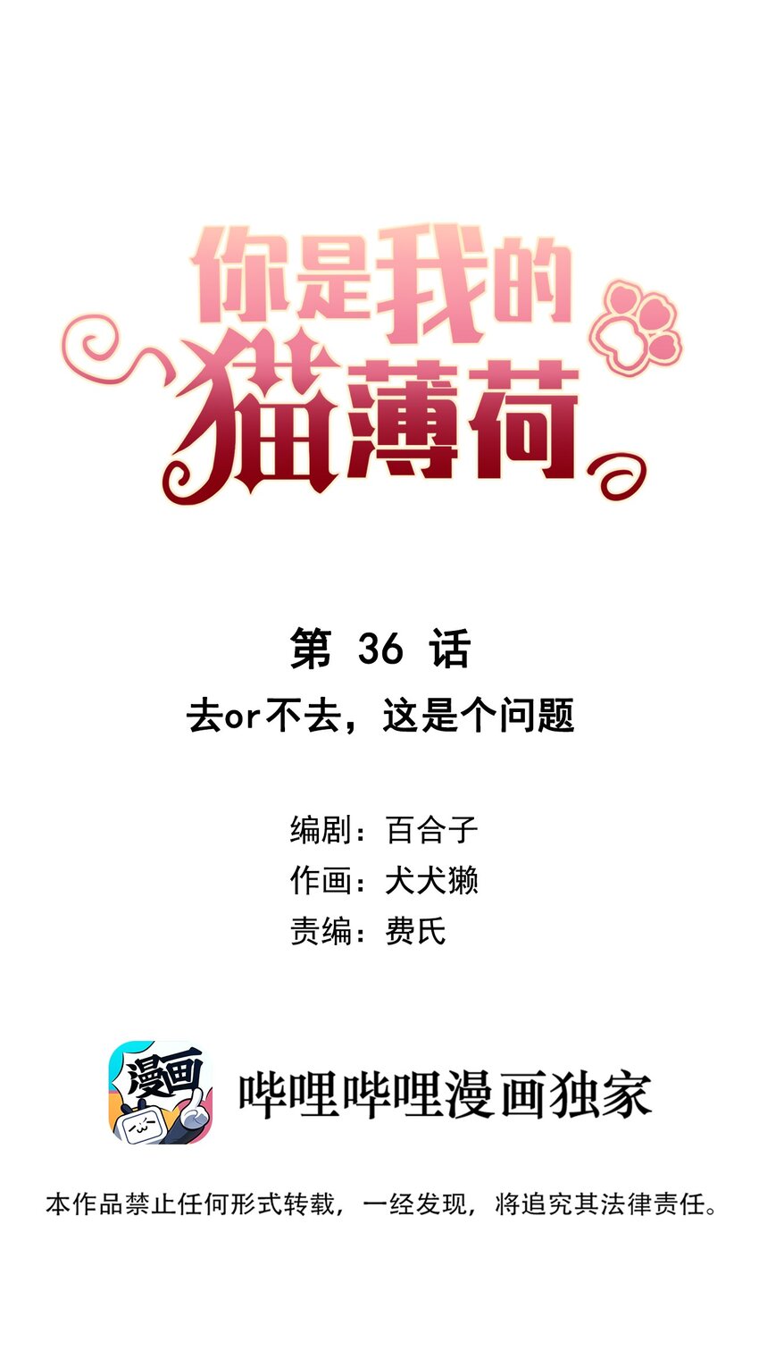《你是我的猫薄荷》036 去or不去，这是个问题 第1页
