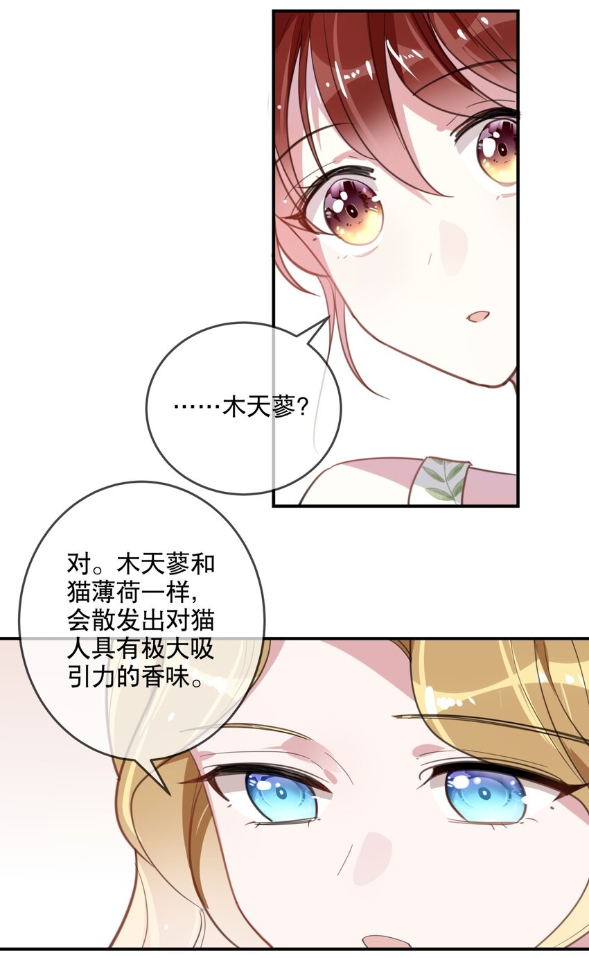《你是我的猫薄荷》037 他需要你 第12页
