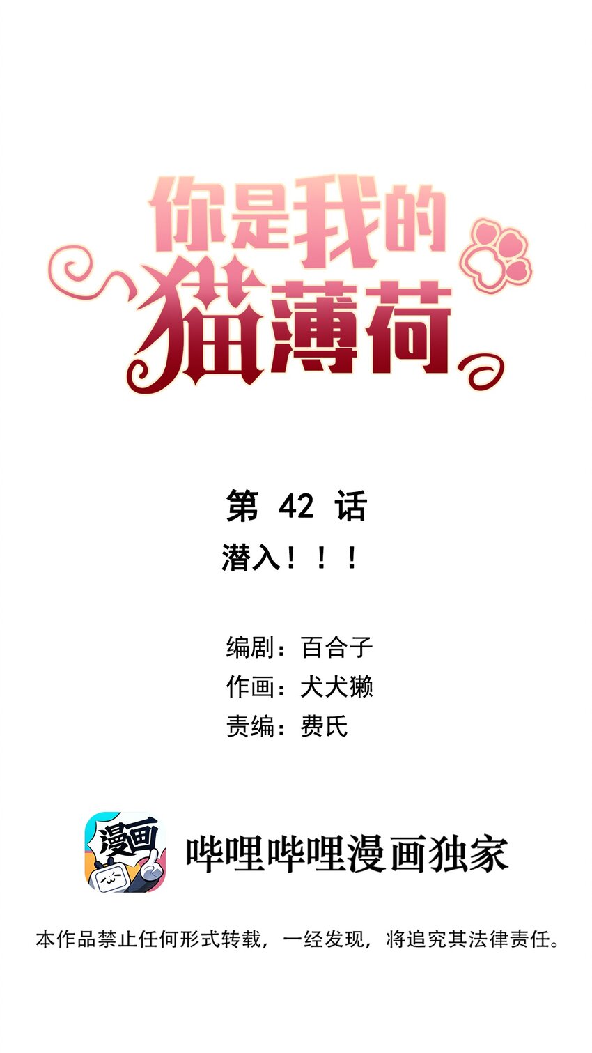《你是我的猫薄荷》042 潜入！！ 第1页
