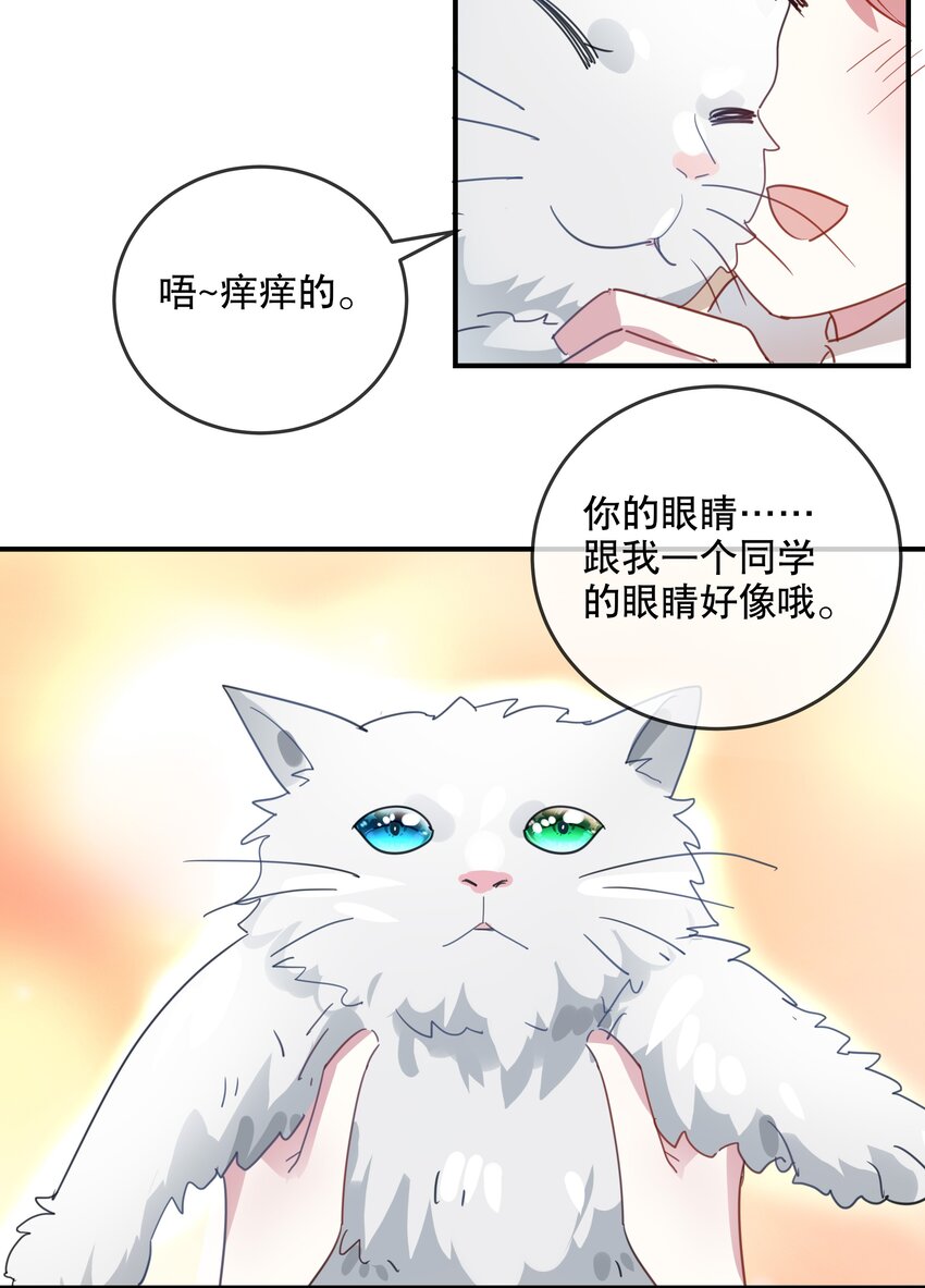 《你是我的猫薄荷》046 做想做的事 第12页