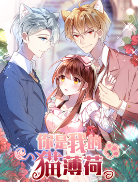《你是我的猫薄荷》漫画封面图 - tl漫画