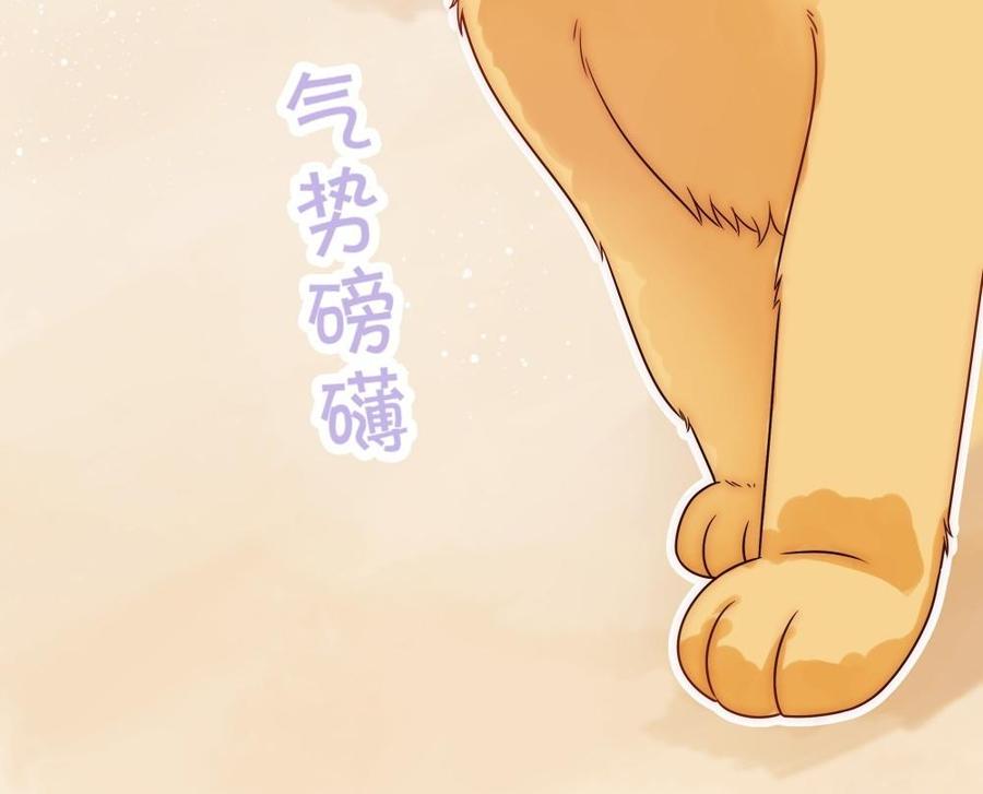 《不装我可能会死》第49话 大型屠狗现场 第14页
